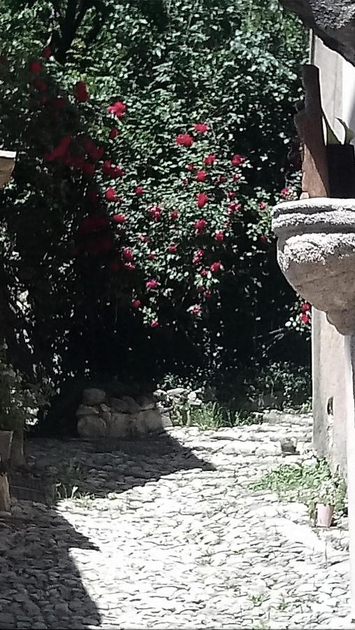 Le Pontin Casa vacanze *